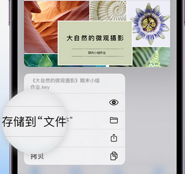 西湖apple维修中心分享iPhone文件应用中存储和找到下载文件