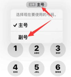 西湖苹果14维修店分享iPhone 14 Pro Max使用副卡打电话的方法 