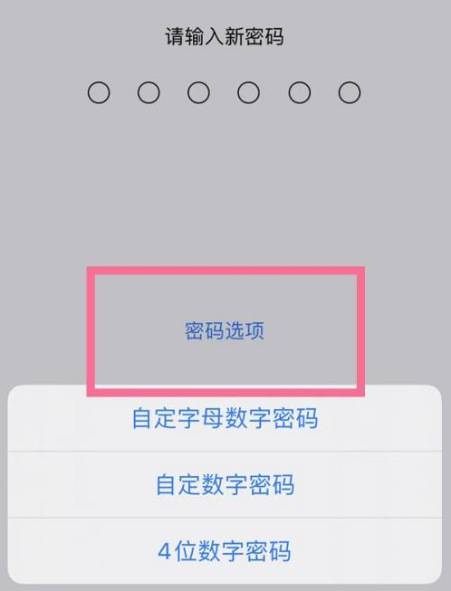 西湖苹果14维修分享iPhone 14plus设置密码的方法 