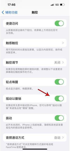 西湖苹果手机维修分享iPhone手机如何设置摇一摇删除文字 